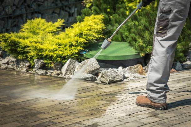 Best Soft Washing  in South River, NJ